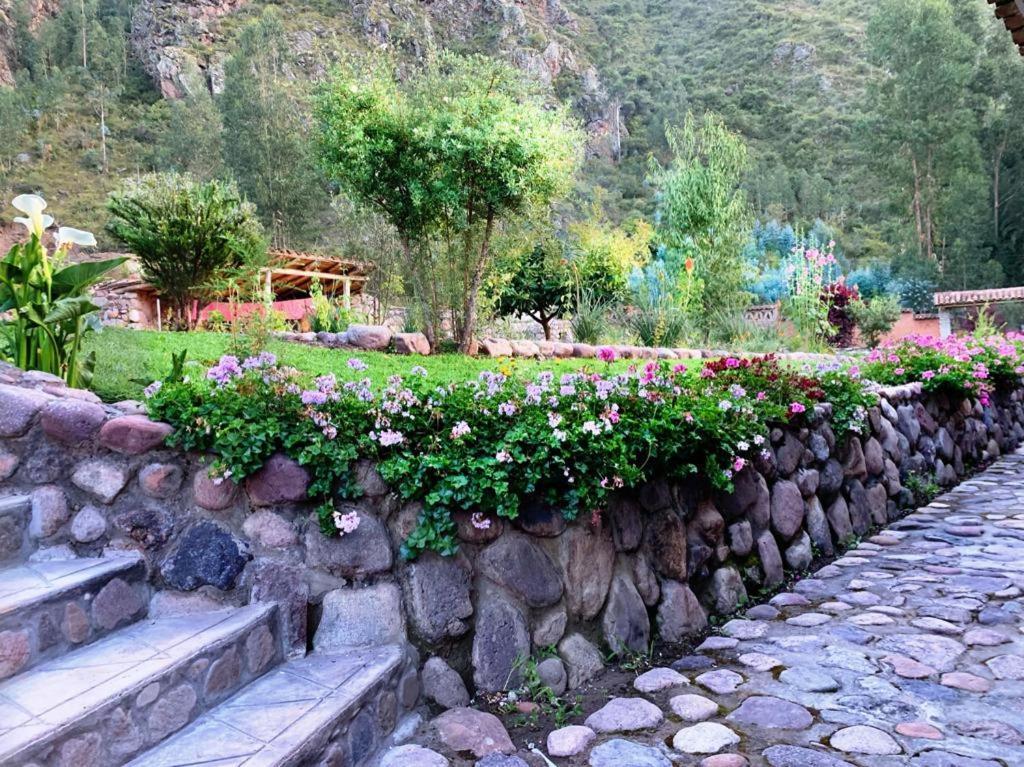 Pedregal EcolodgeCalca エクステリア 写真