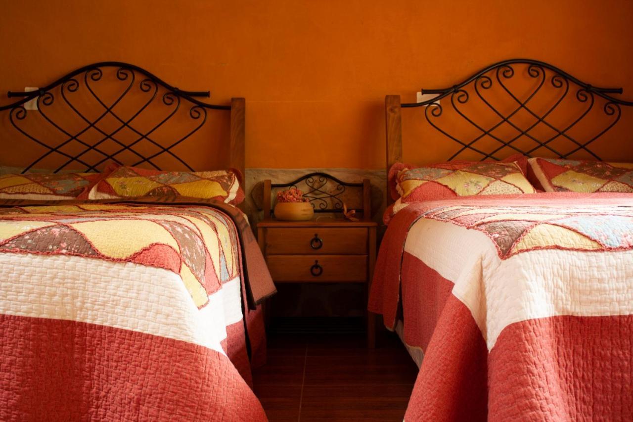 Pedregal EcolodgeCalca エクステリア 写真