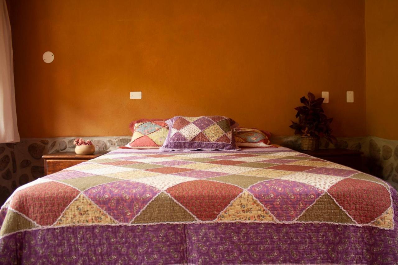 Pedregal EcolodgeCalca エクステリア 写真